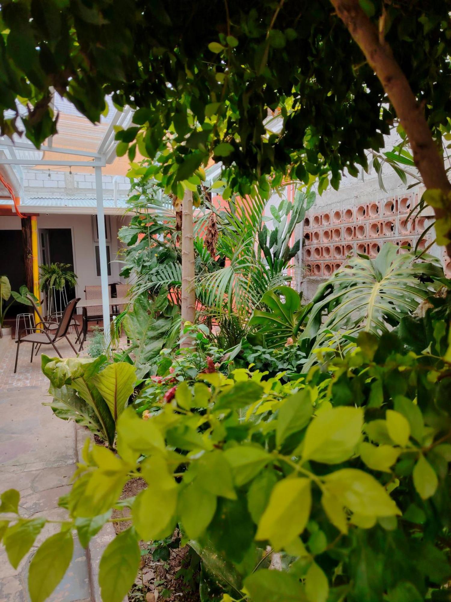 El Chirris B&B سان خوان لاجونا المظهر الخارجي الصورة