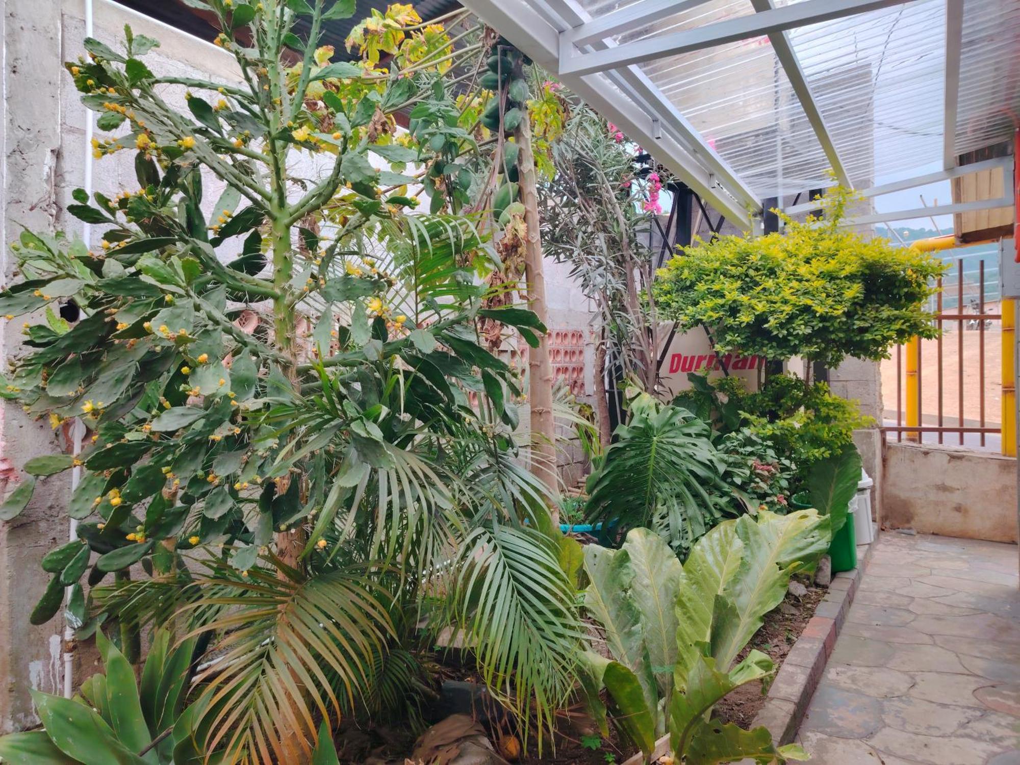 El Chirris B&B سان خوان لاجونا المظهر الخارجي الصورة